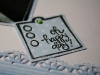 album_duzy_37