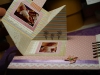 album_11