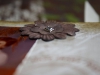 album_36