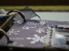 album_12