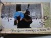 album_23