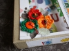 zuz_02