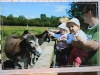 album_35