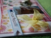 chrzest5
