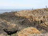 gigant_11