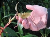 image091