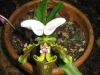 image092