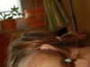 maja04
