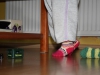 maja_02