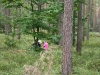 maja_07
