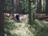maja_13