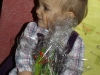 maja_08