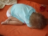 maja_03