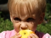 maja_25