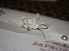 zap_03