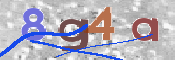Obraz CAPTCHY